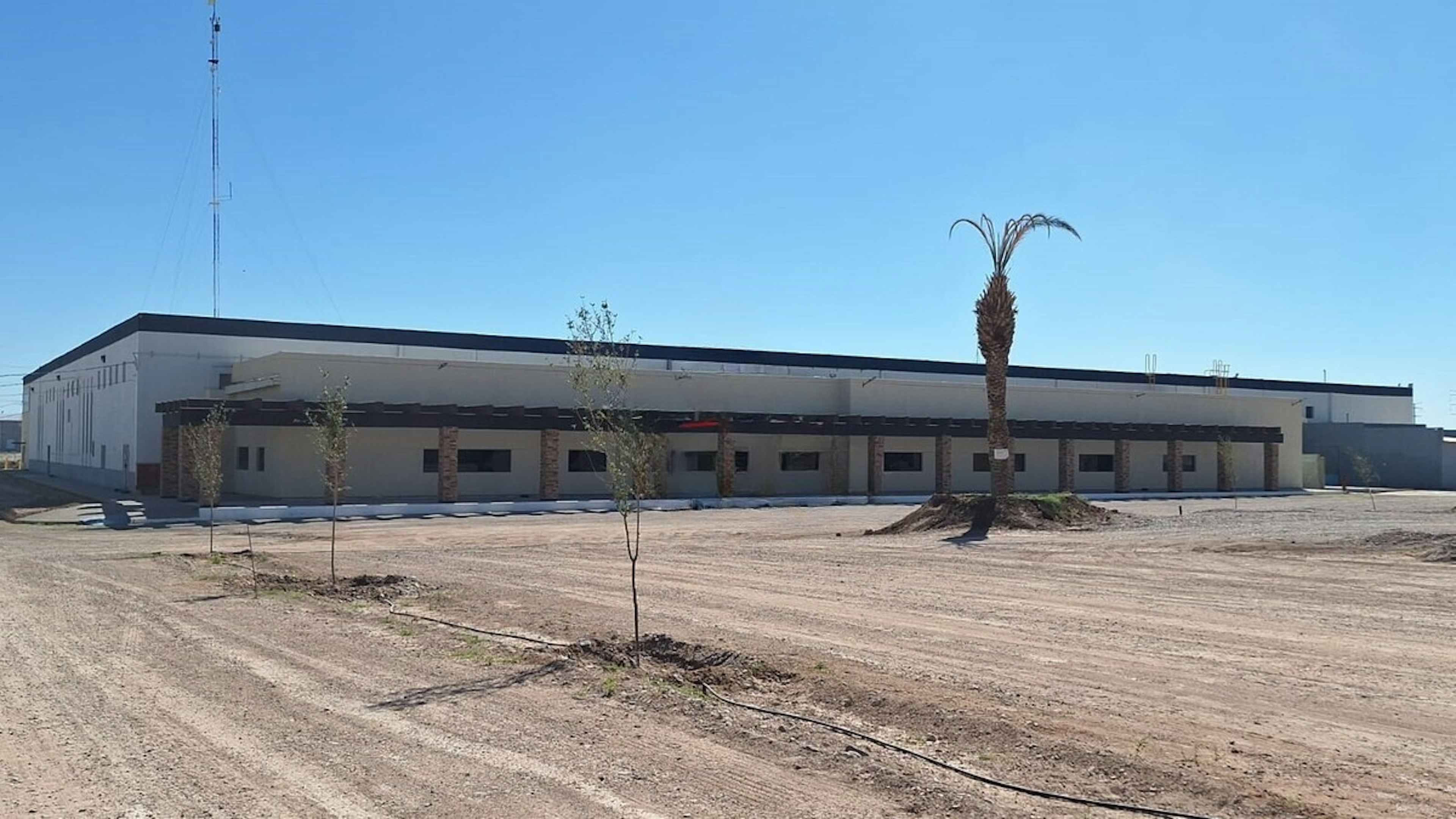 Avenida Plutarco Elías Calles 1933