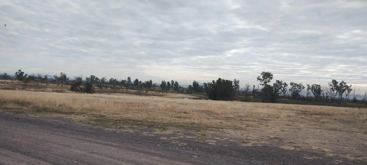 Terreno Spot2