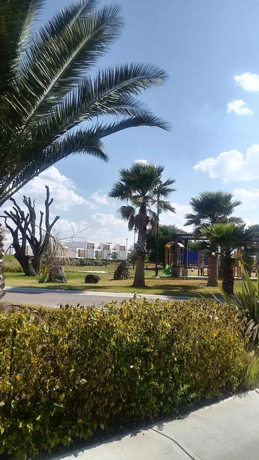 Terreno Spot2
