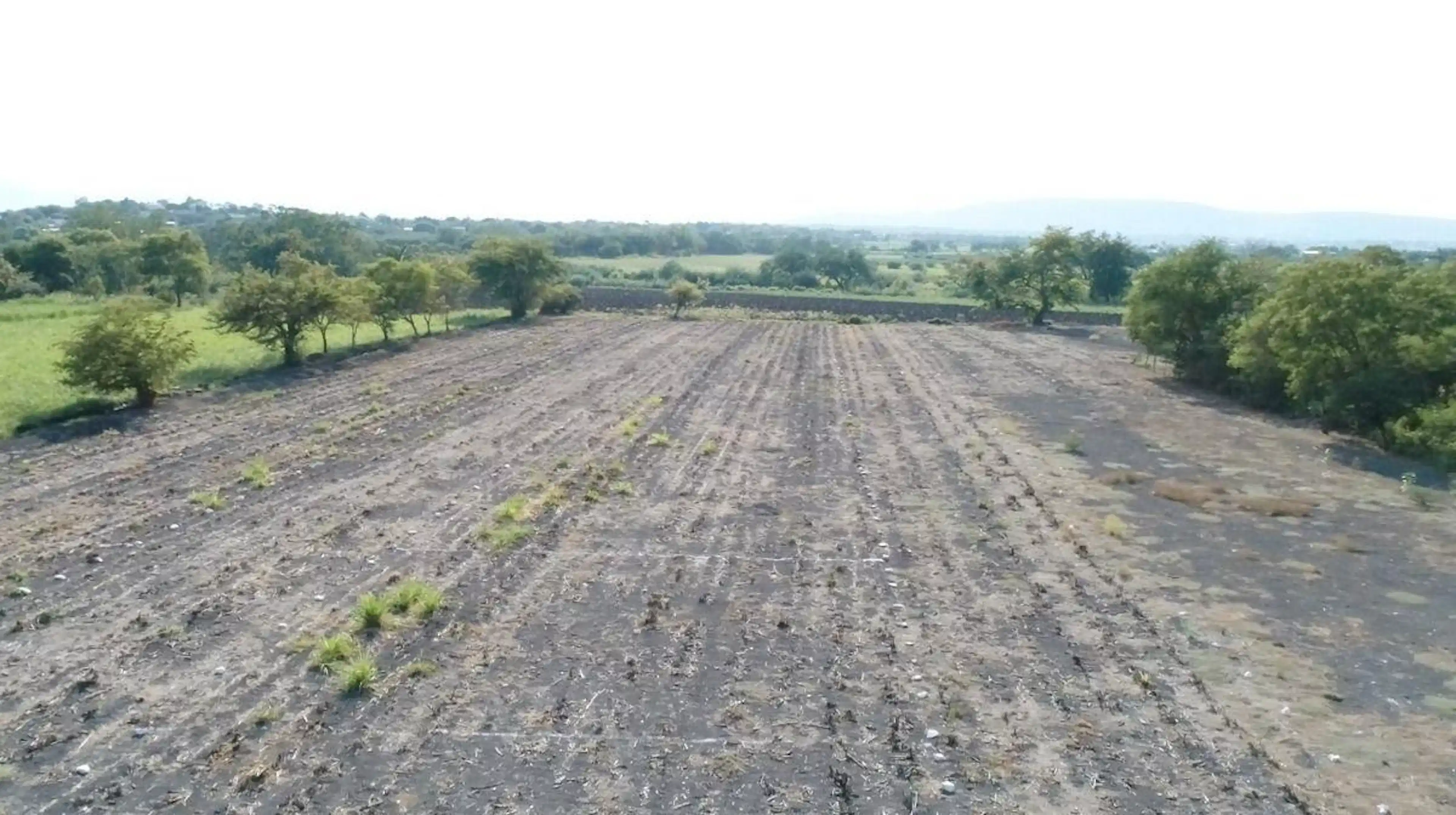 Terreno en Parcela de Jojutla