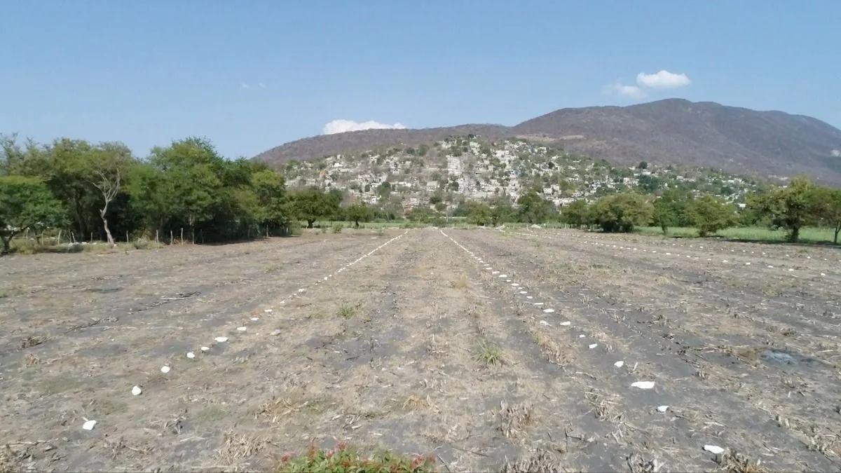 Terreno Spot2