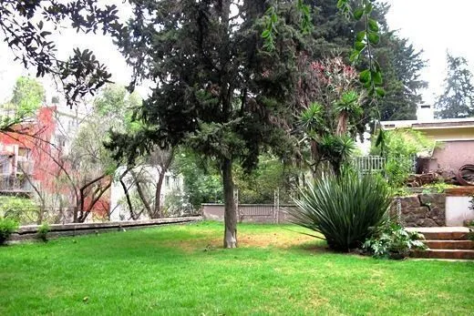 Terreno Spot2