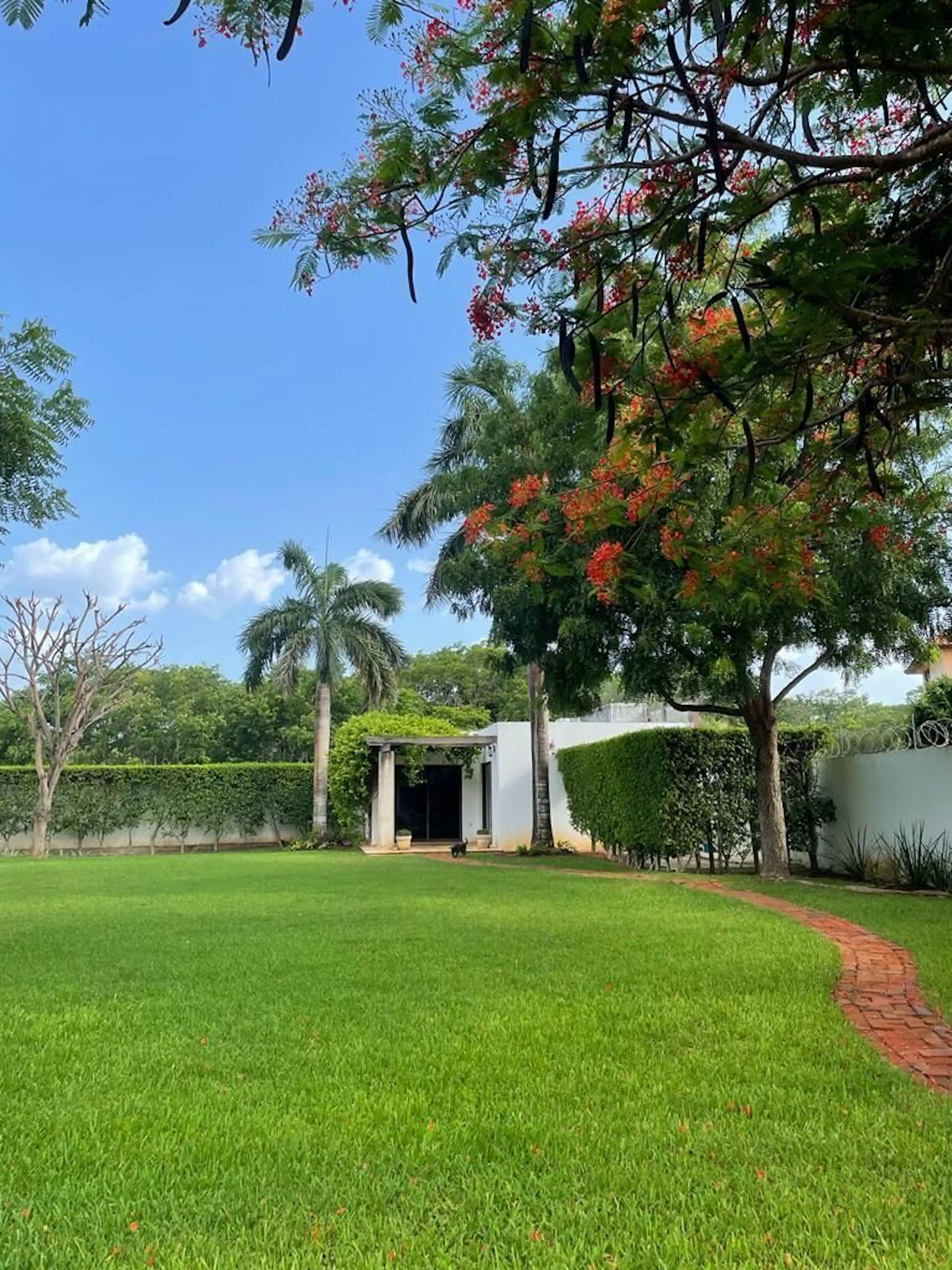 Terreno Con Departamento En Venta En Campeche: Fracc Lomas Del Castillo
