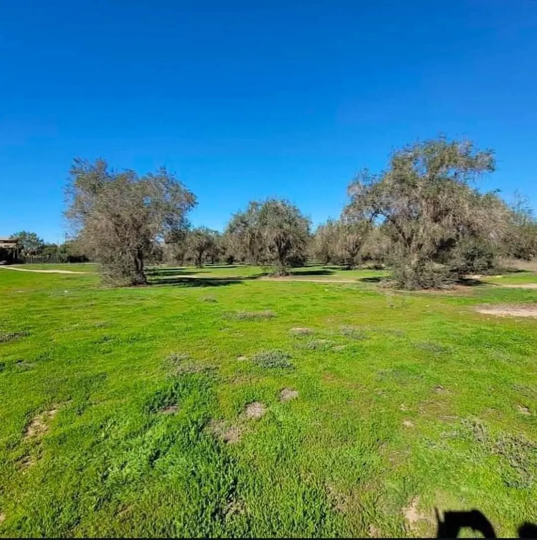 Terreno Spot2
