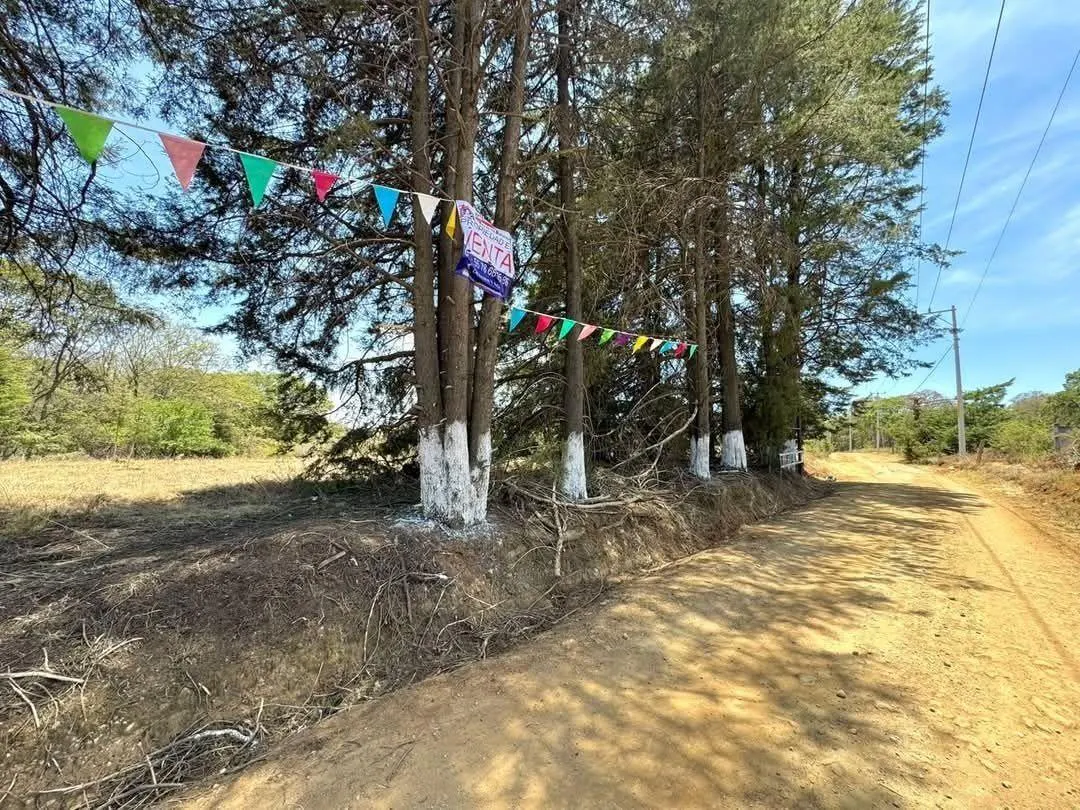 Terreno Spot2