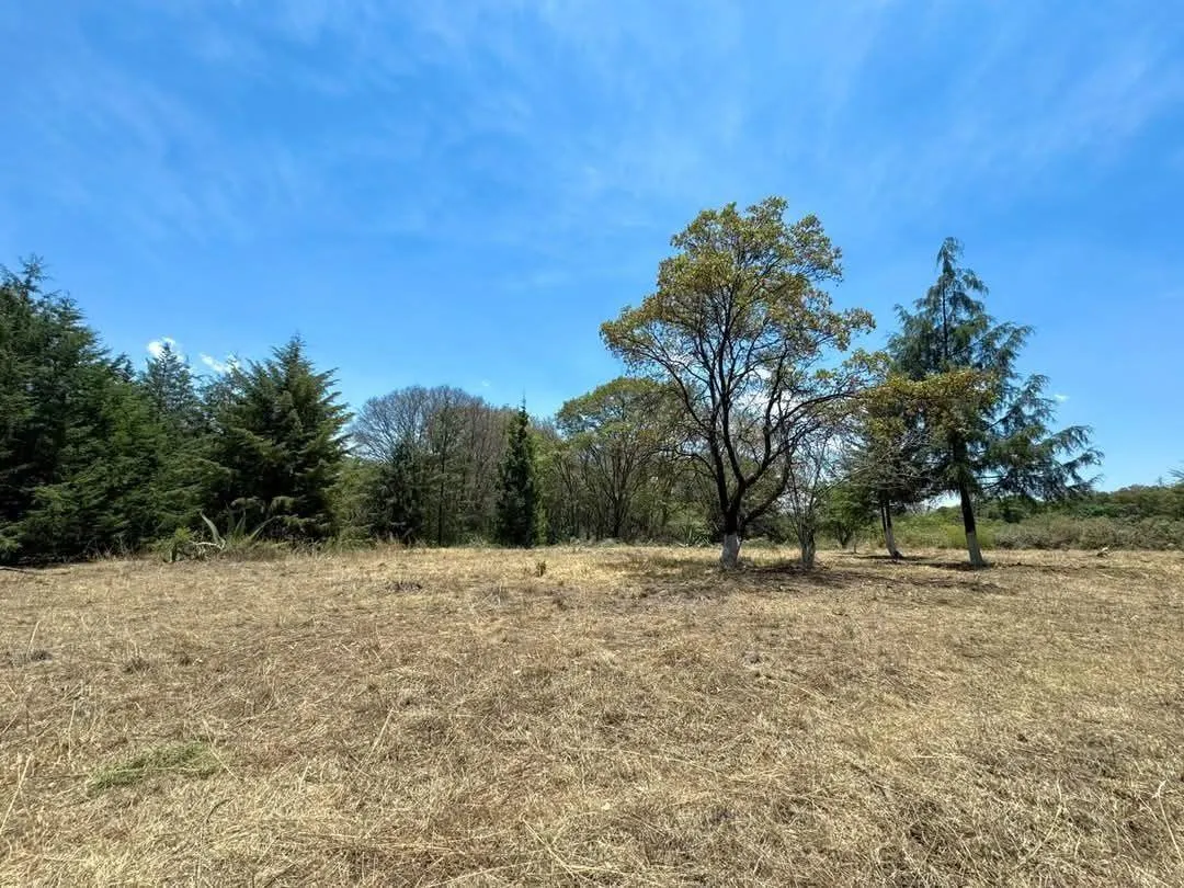 Terreno Spot2