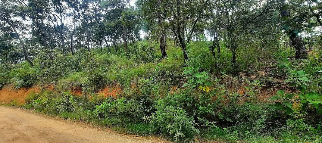 Terreno Spot2