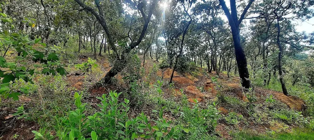 Terreno Spot2