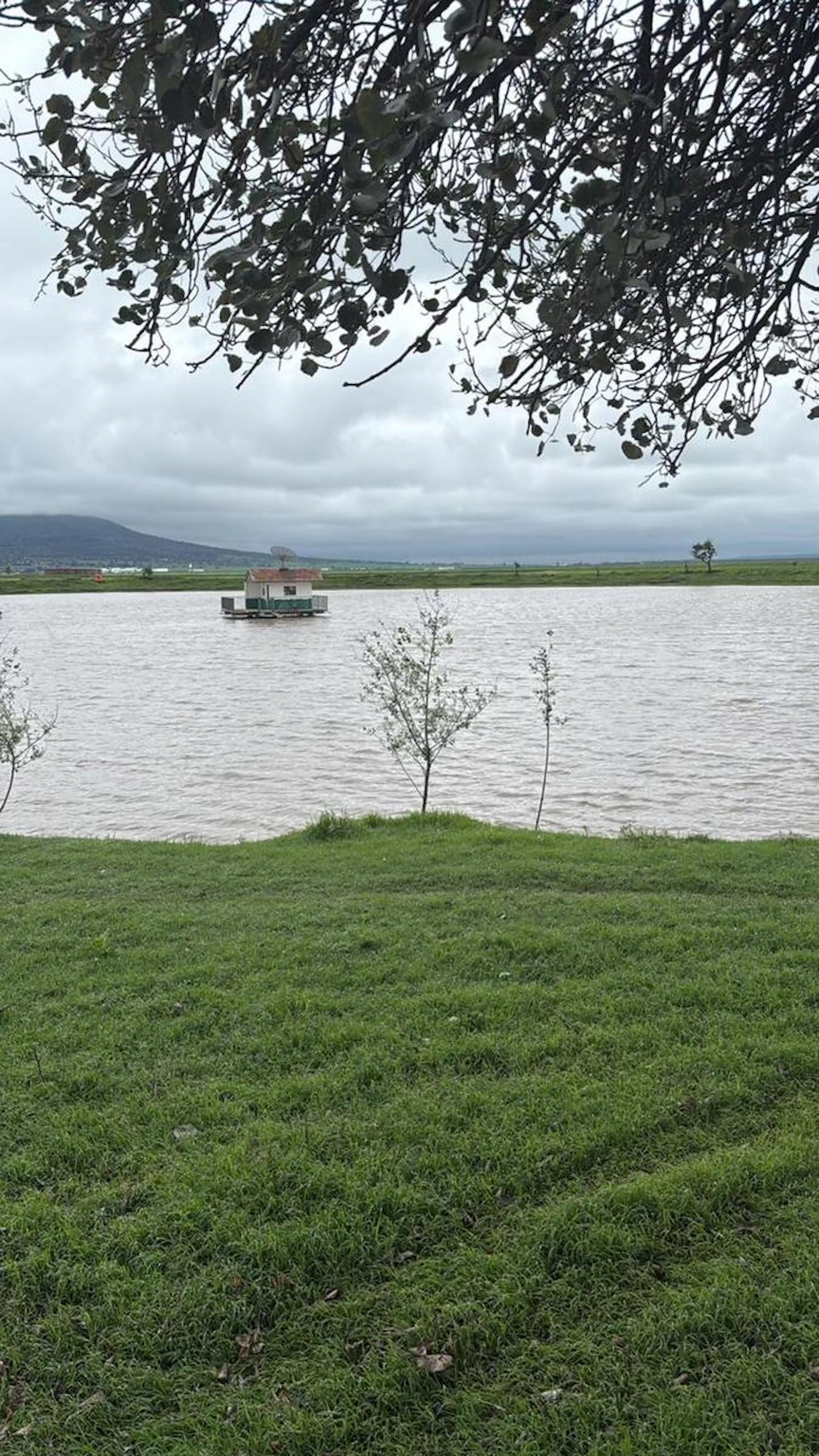 Terreno Para Uso Agroindustrial En Almoloya, Hidalgo. Con Título De Concesión Hidríca.