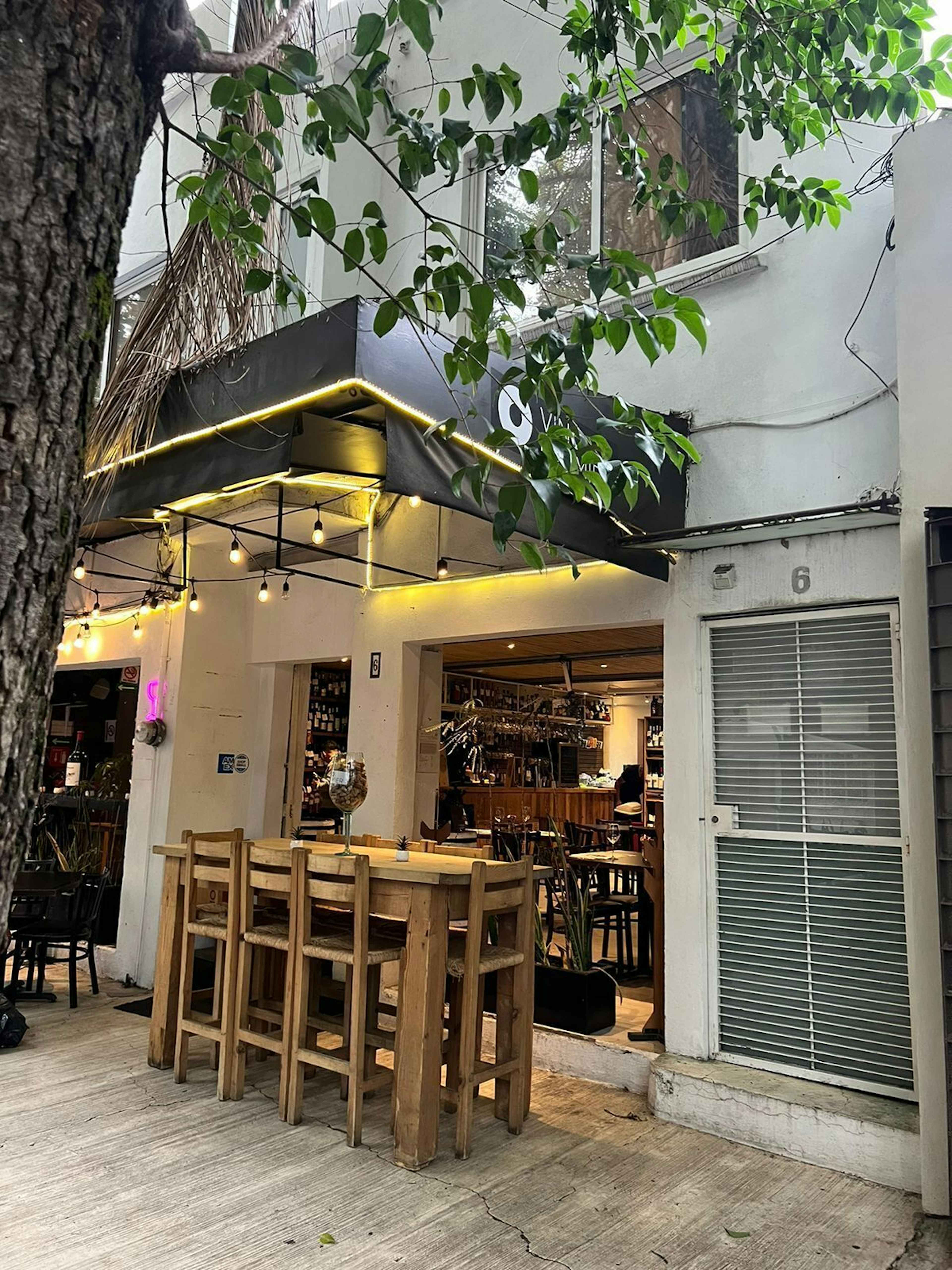 Fernando Montes De Oca