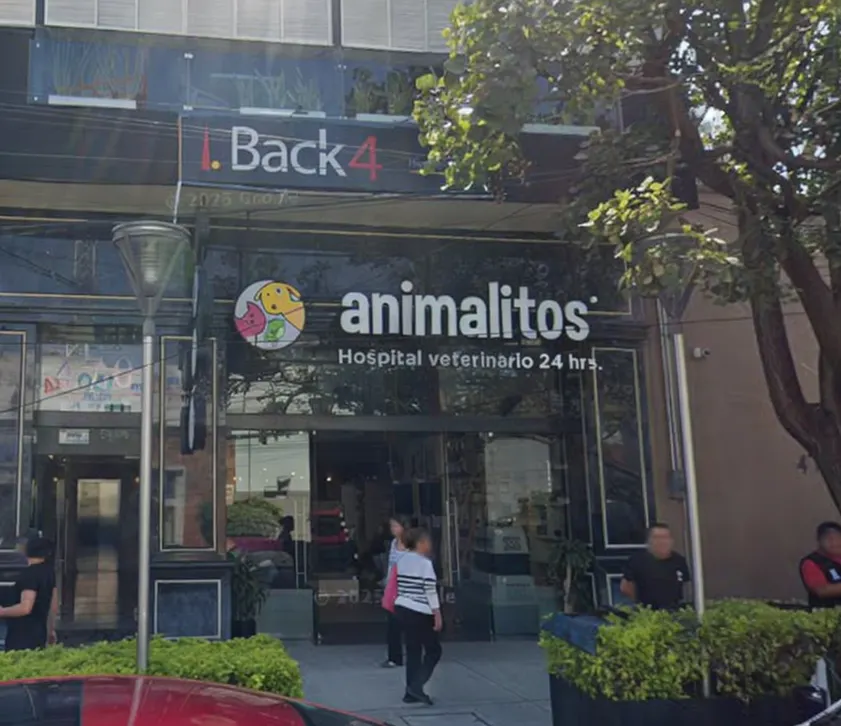 Local Comercial Spot2