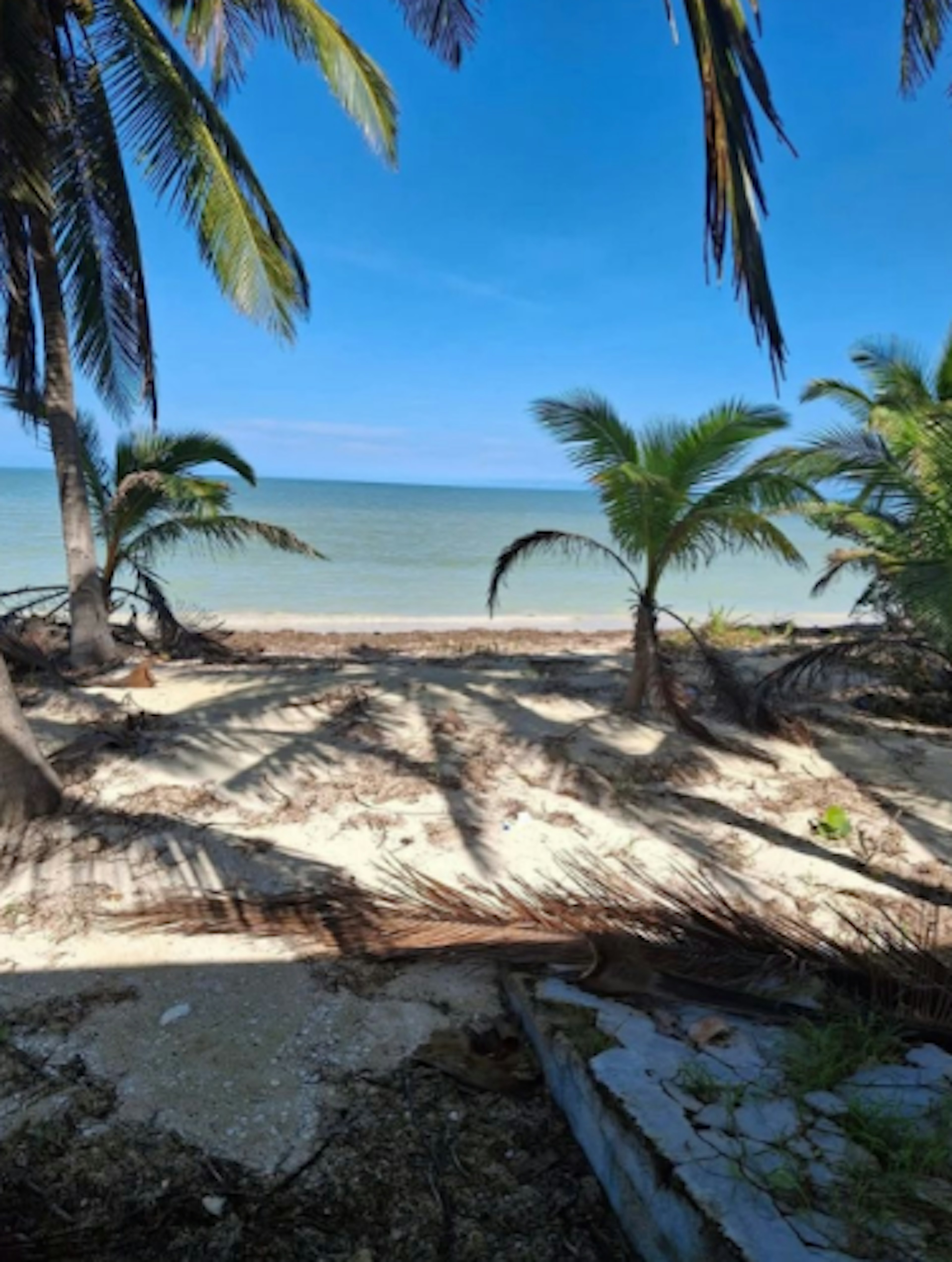 Etapa 2 Lote 530-photo