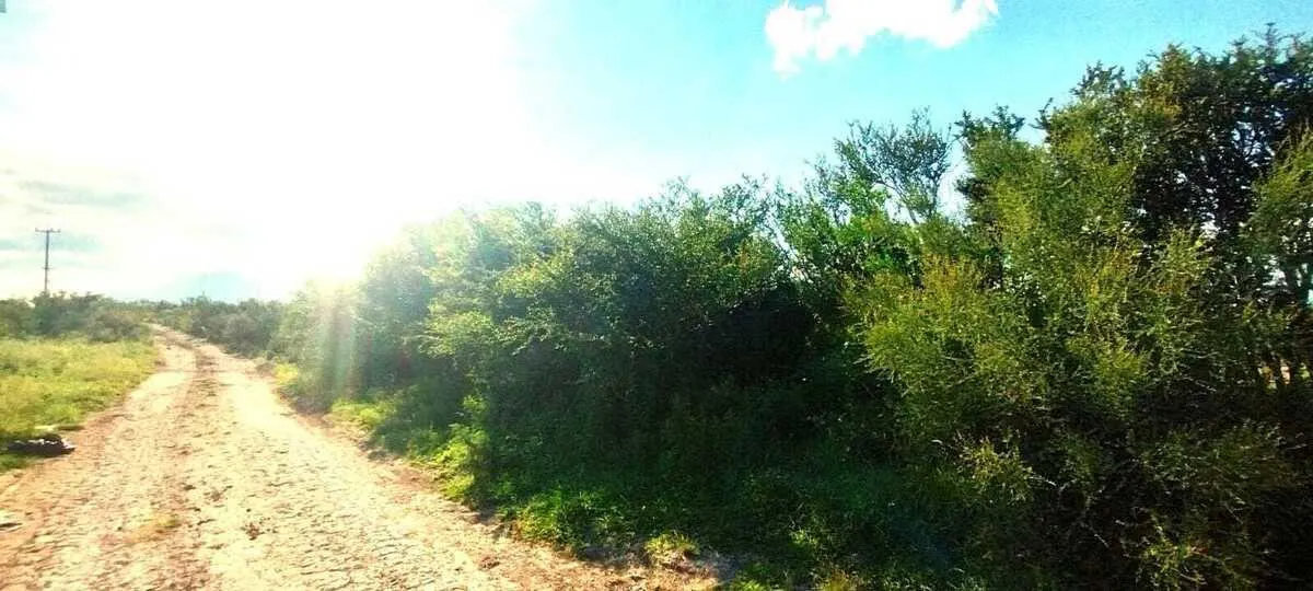 Terreno Spot2