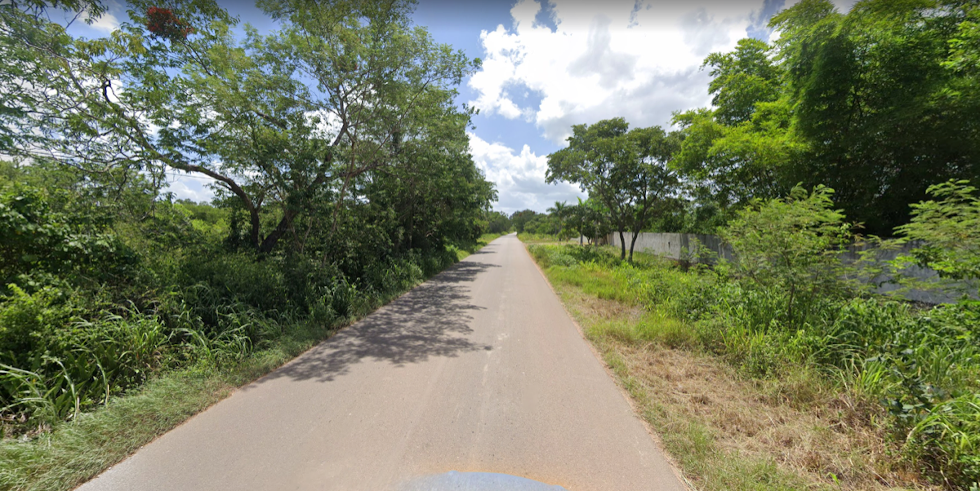 Spot image 0