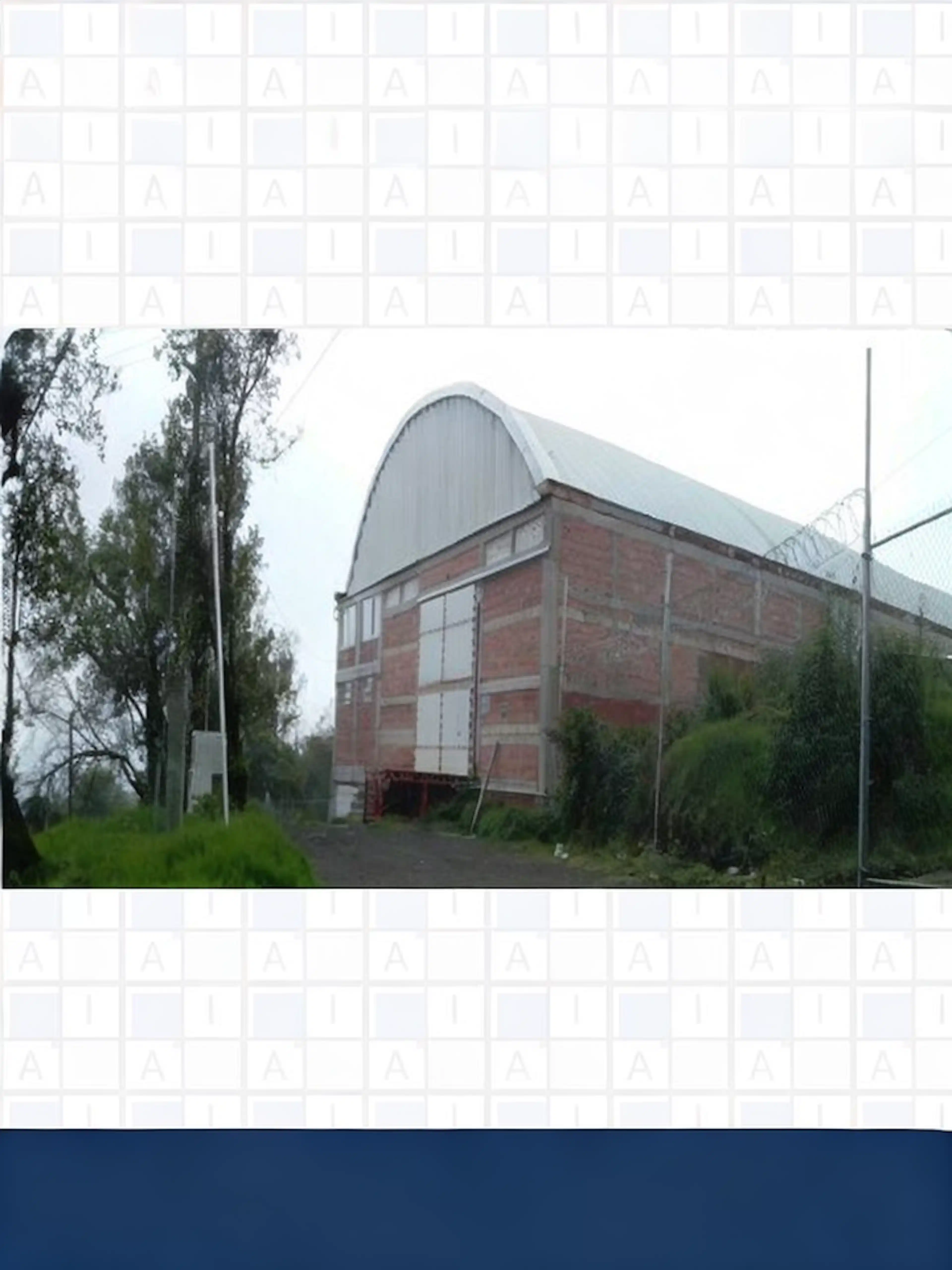 Los Olivos S/n