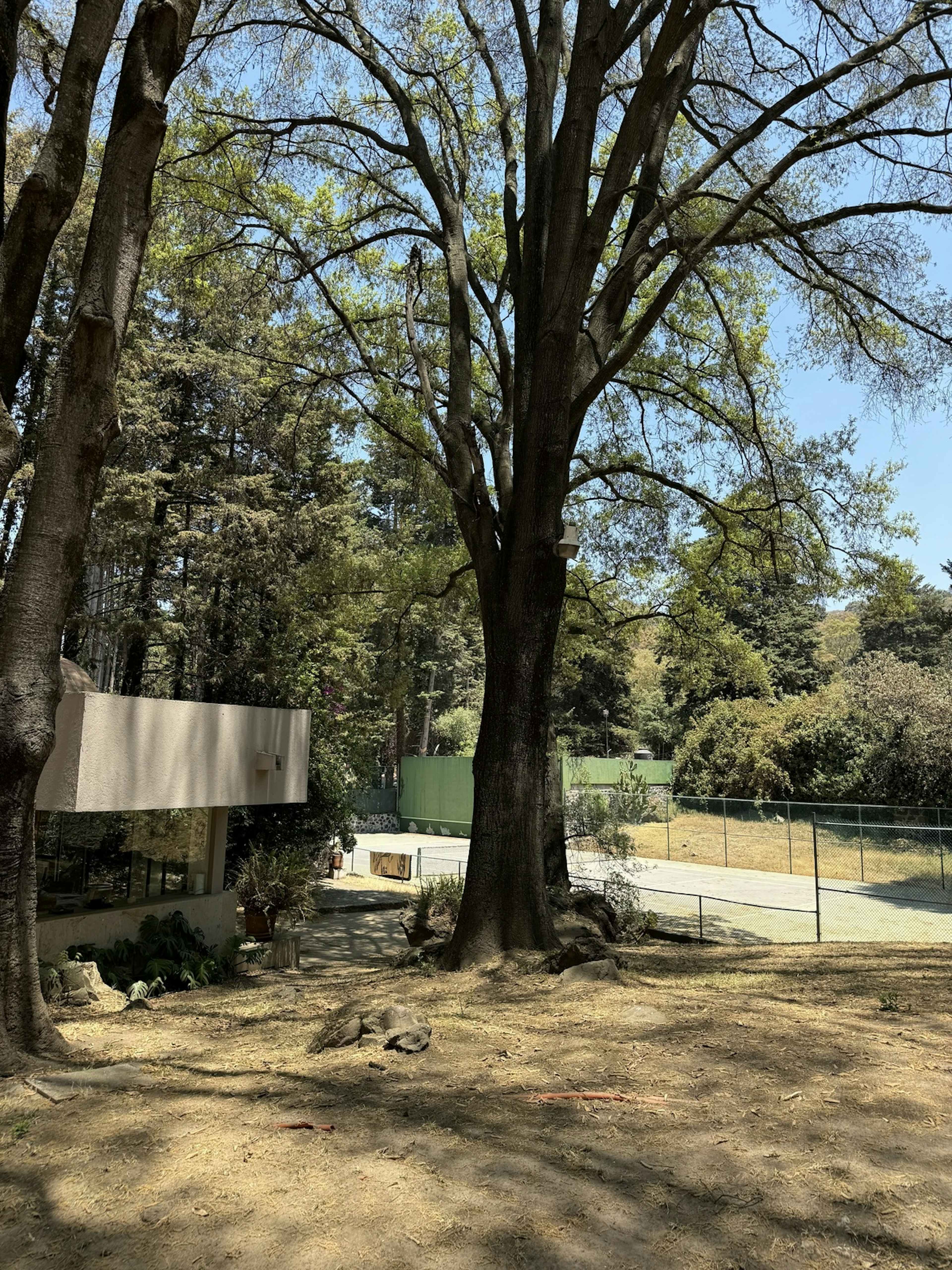 Vendo Rancho Terreno 7265m San Nicolás Tlazala Toluca Ocoyoacac Edomex