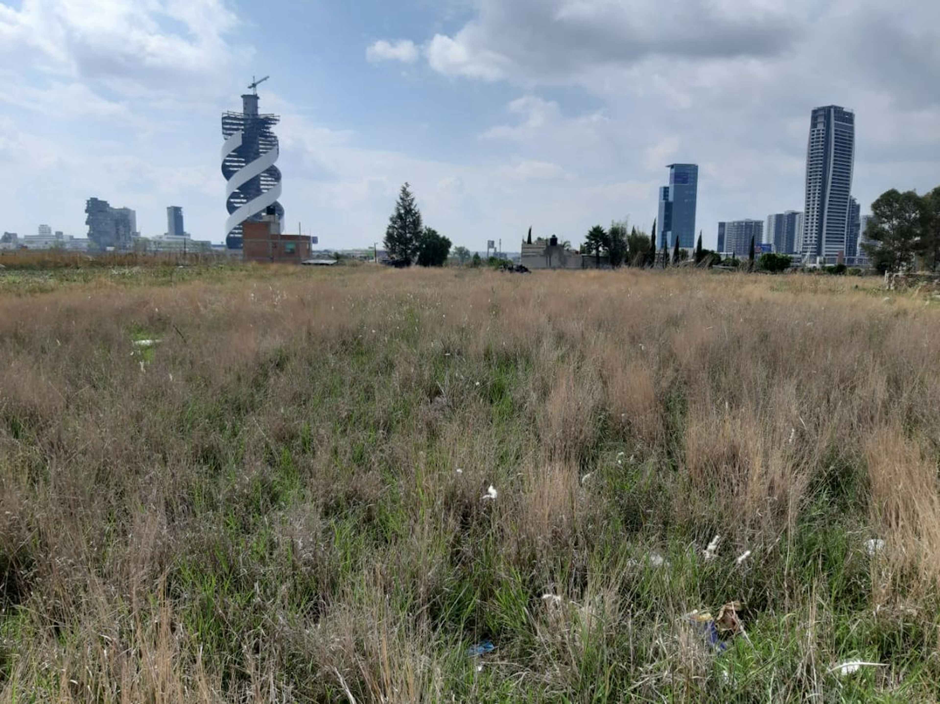 Real De San Antonio 317