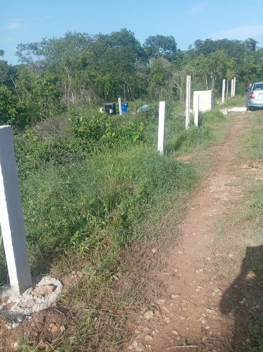 Terreno Spot2