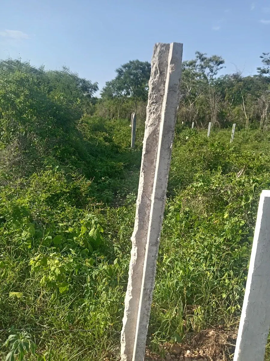 Terreno Spot2