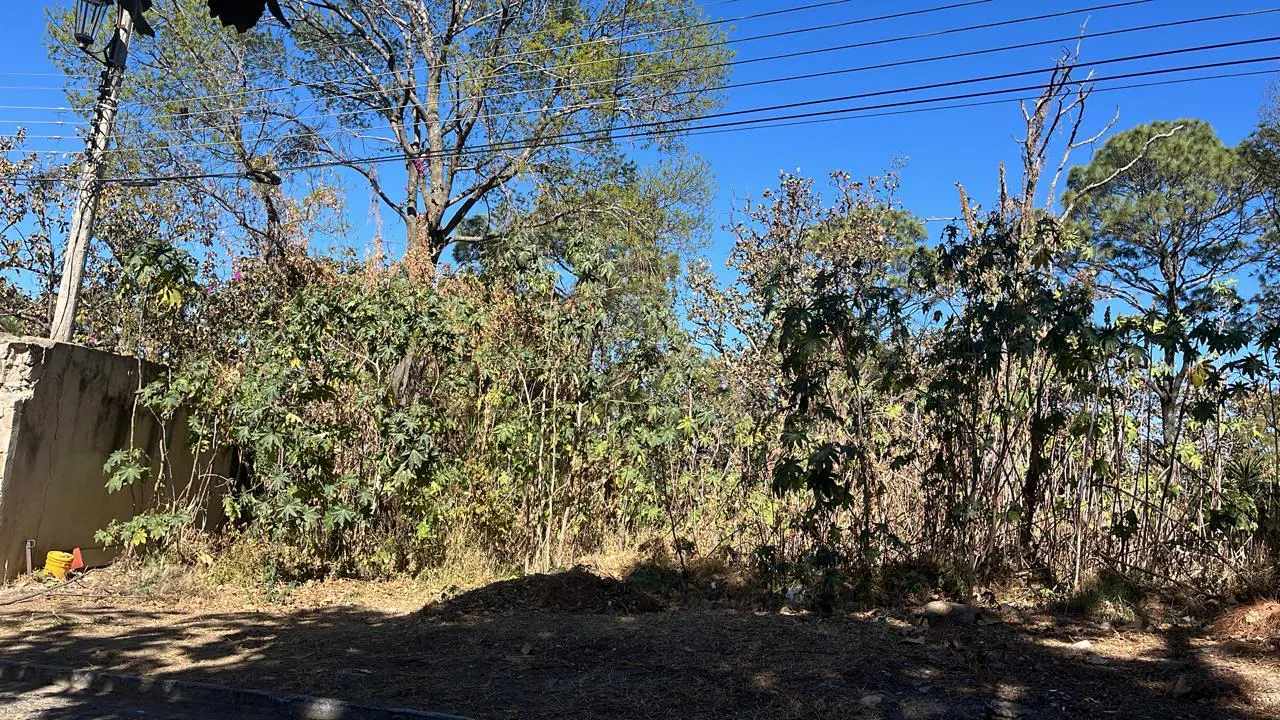 Terreno Spot2