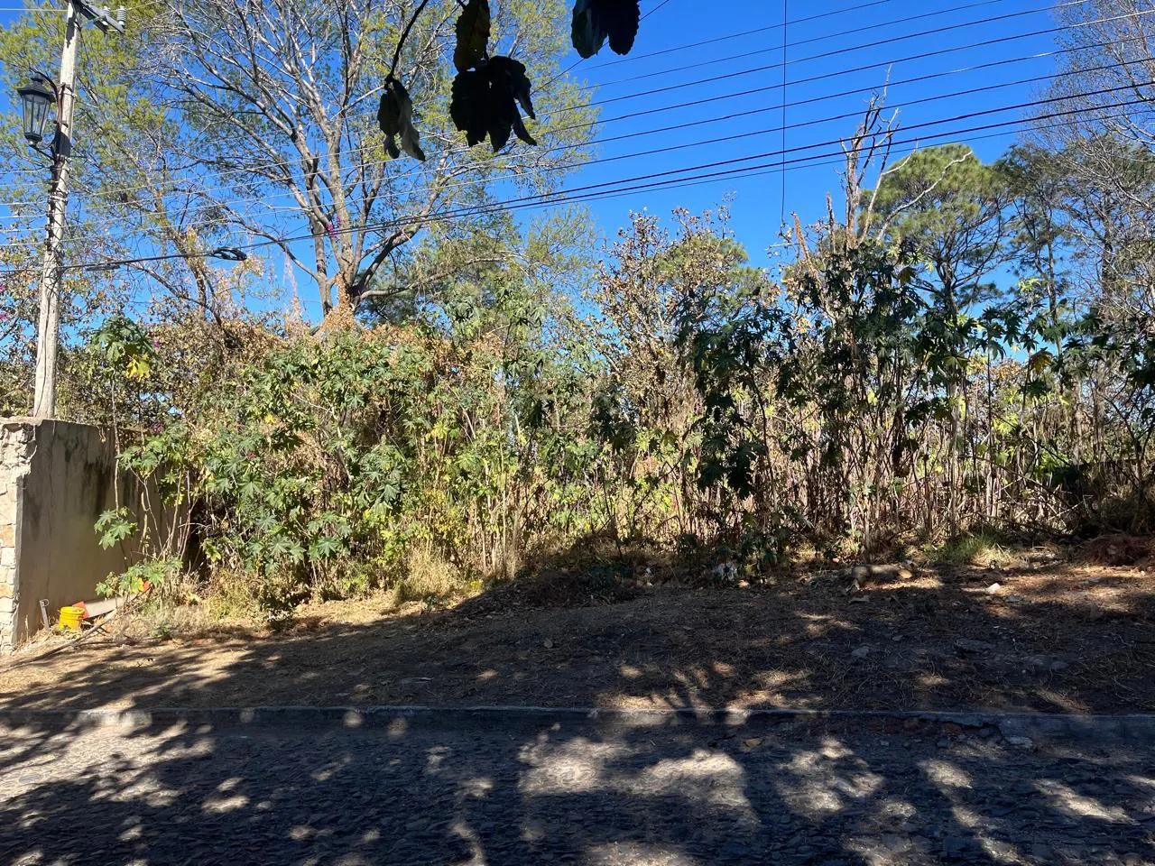 Terreno Spot2
