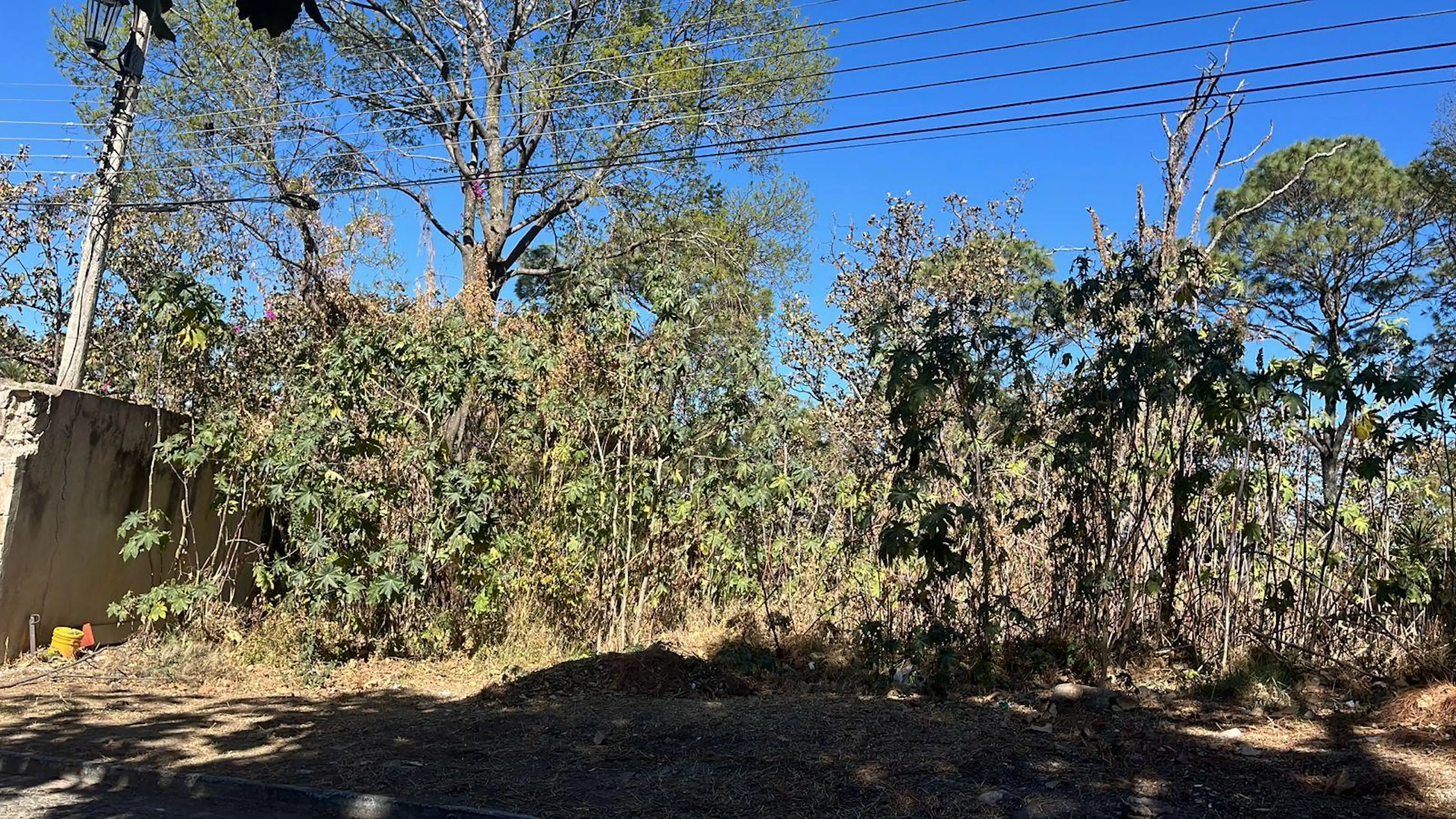 Terreno En  Venta