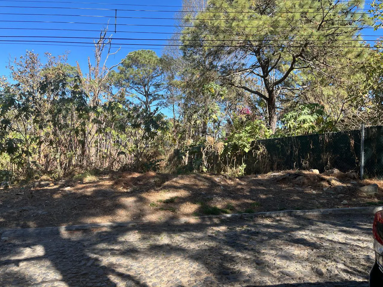 Terreno Spot2