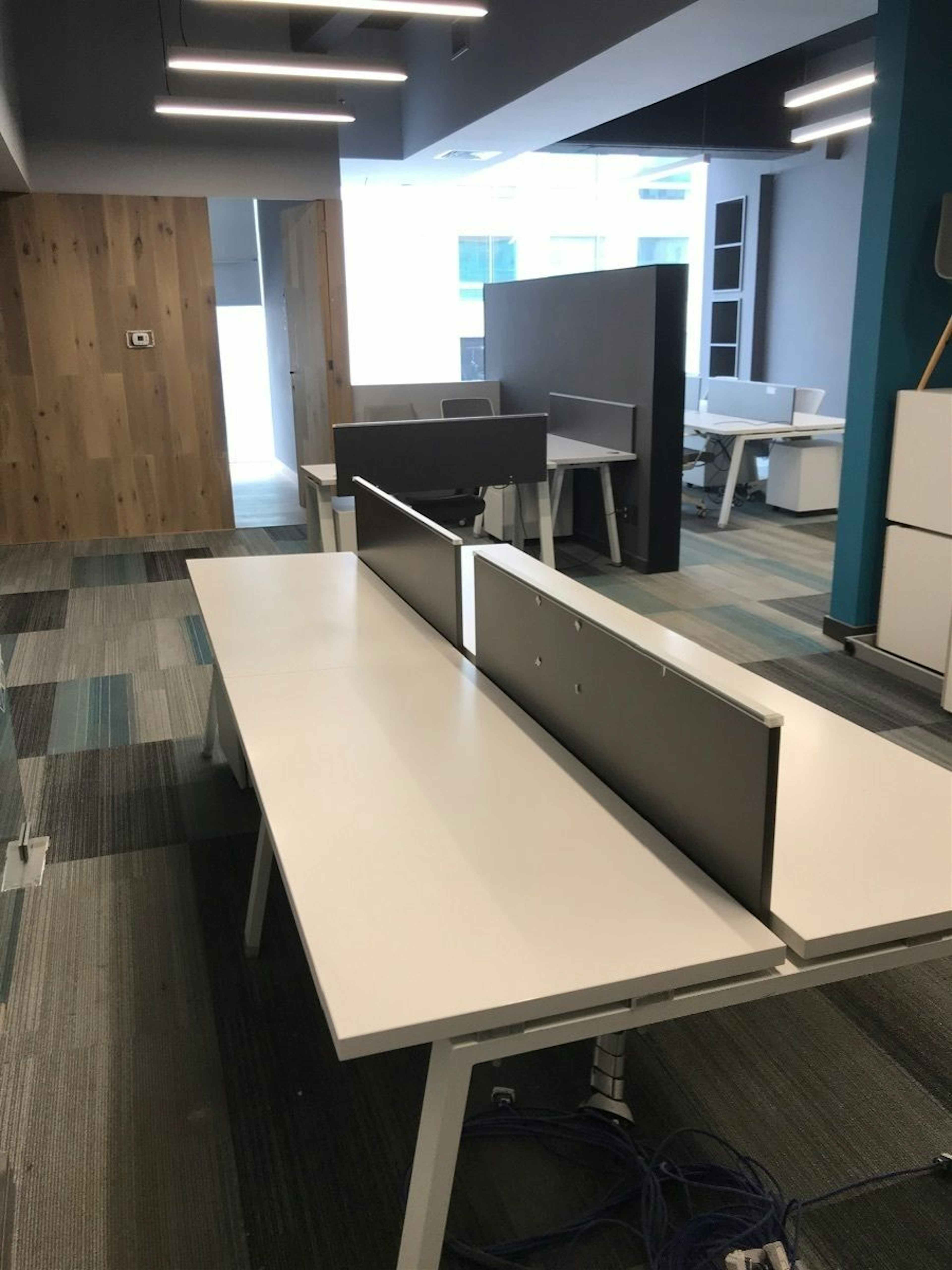 Bosque De Radiatas 10