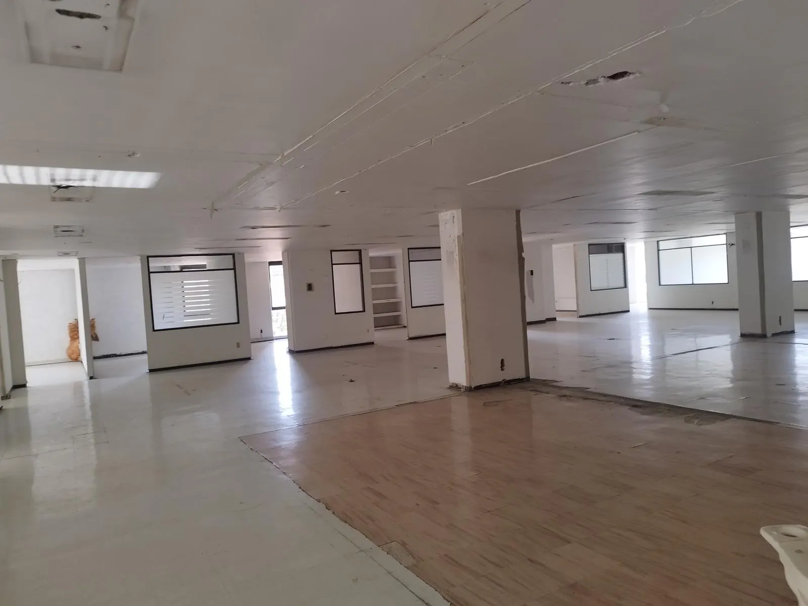 Oficina Spot2