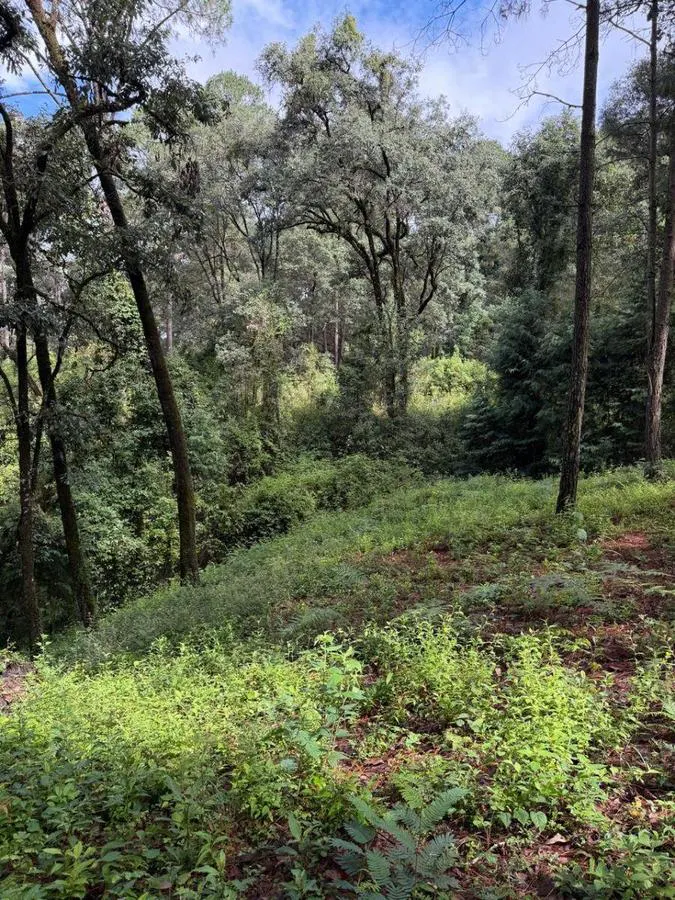 Terreno Spot2