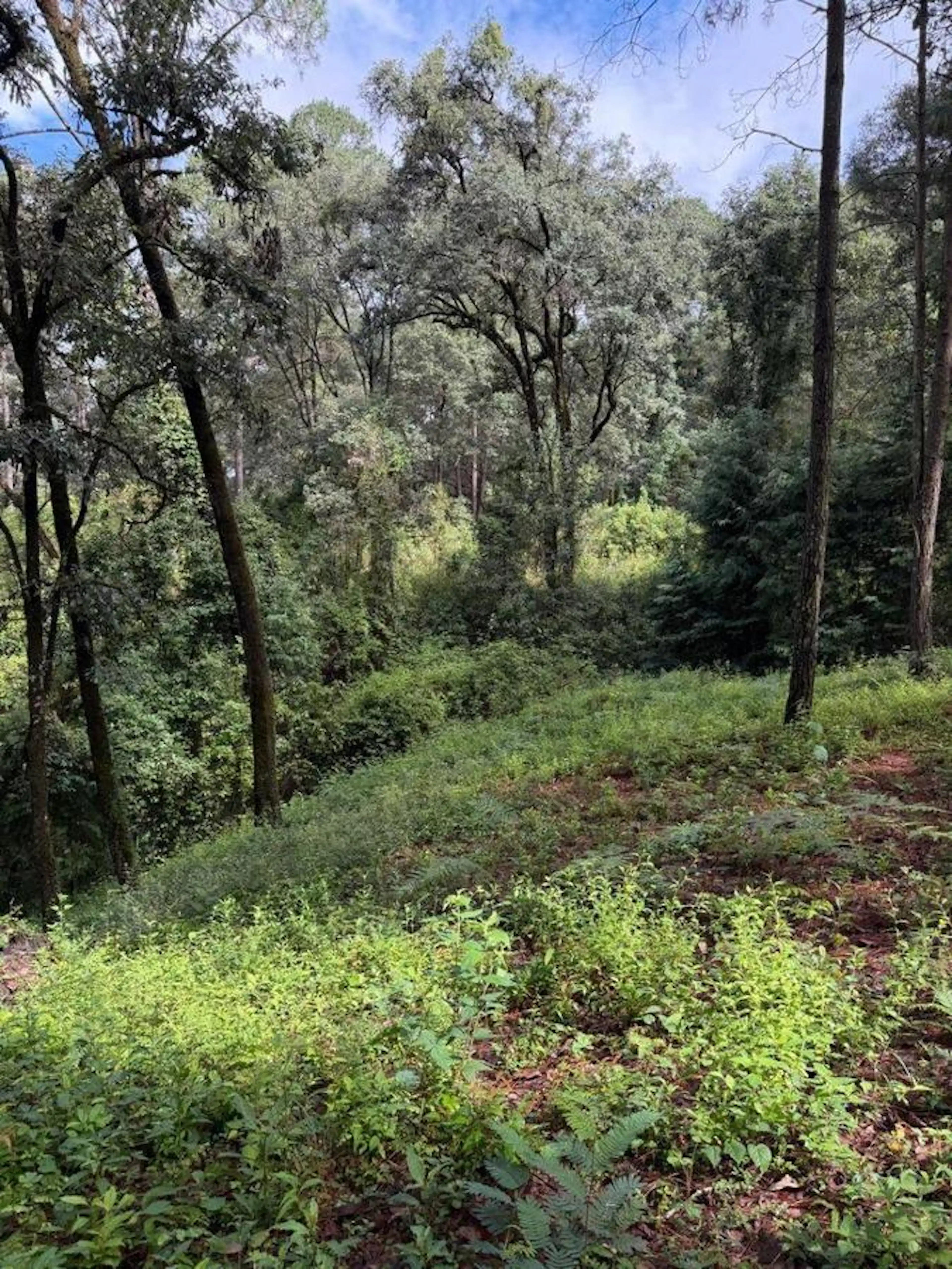 Terreno De 4726 M² En Venta En Avandaro
