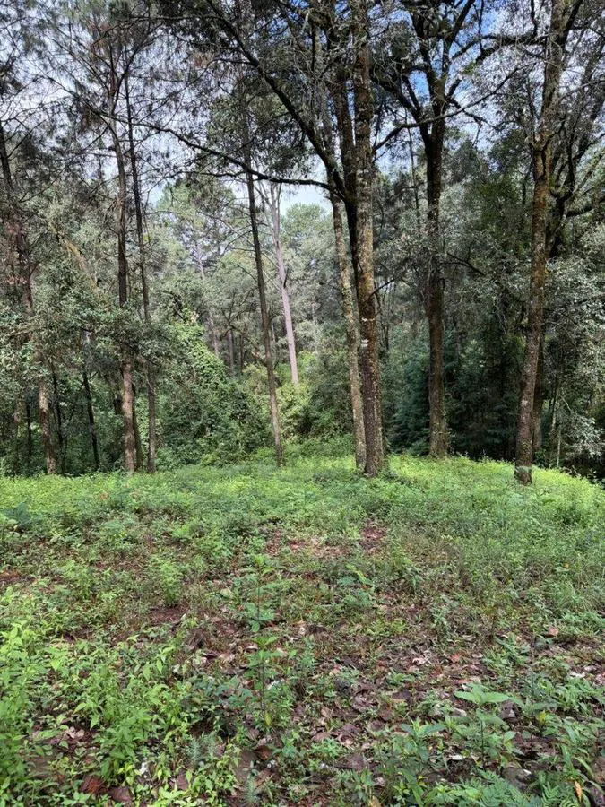 Terreno Spot2