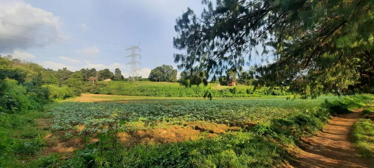 Terreno Spot2