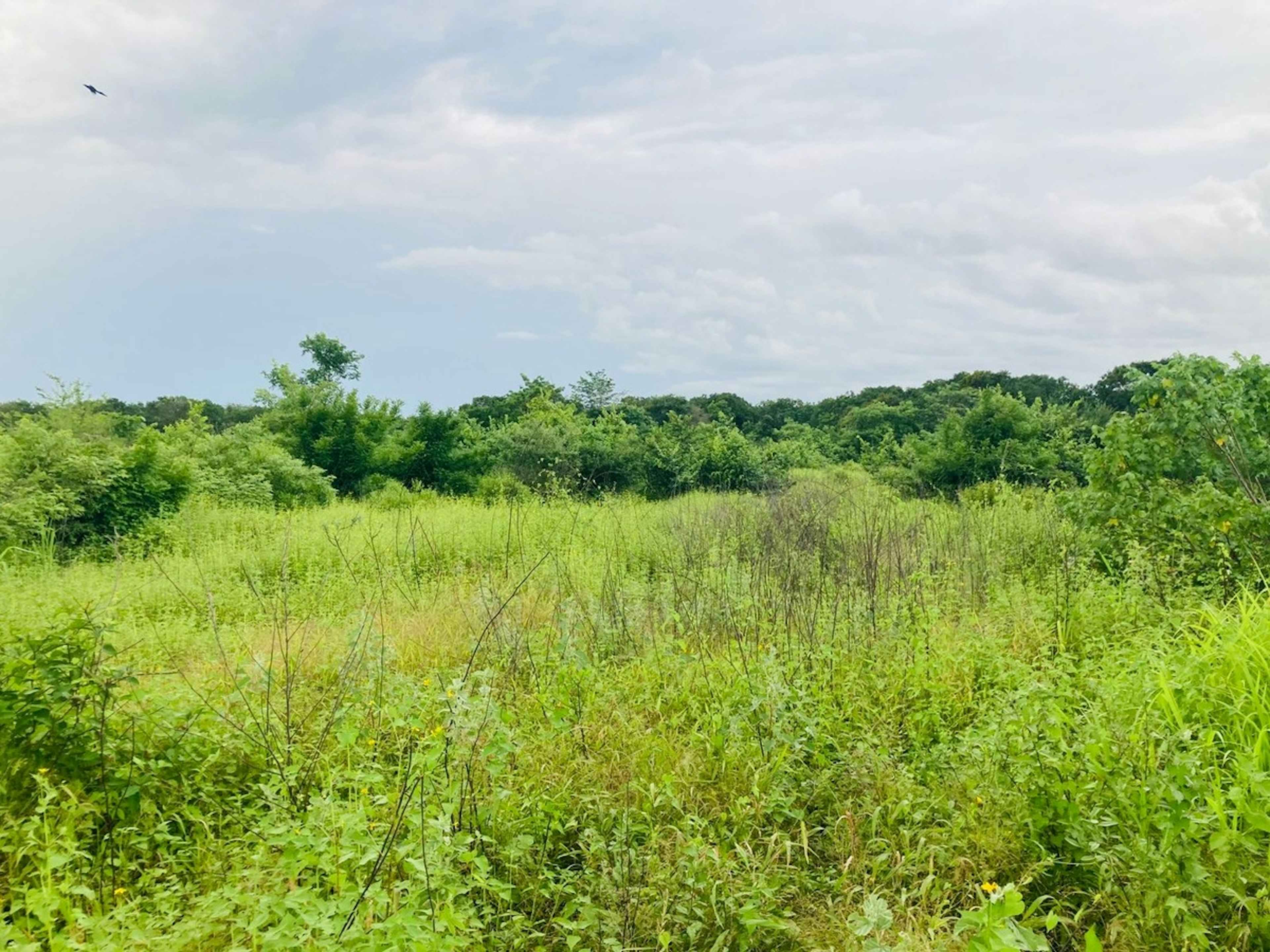 Tapachula - Puerto De San Bento 104