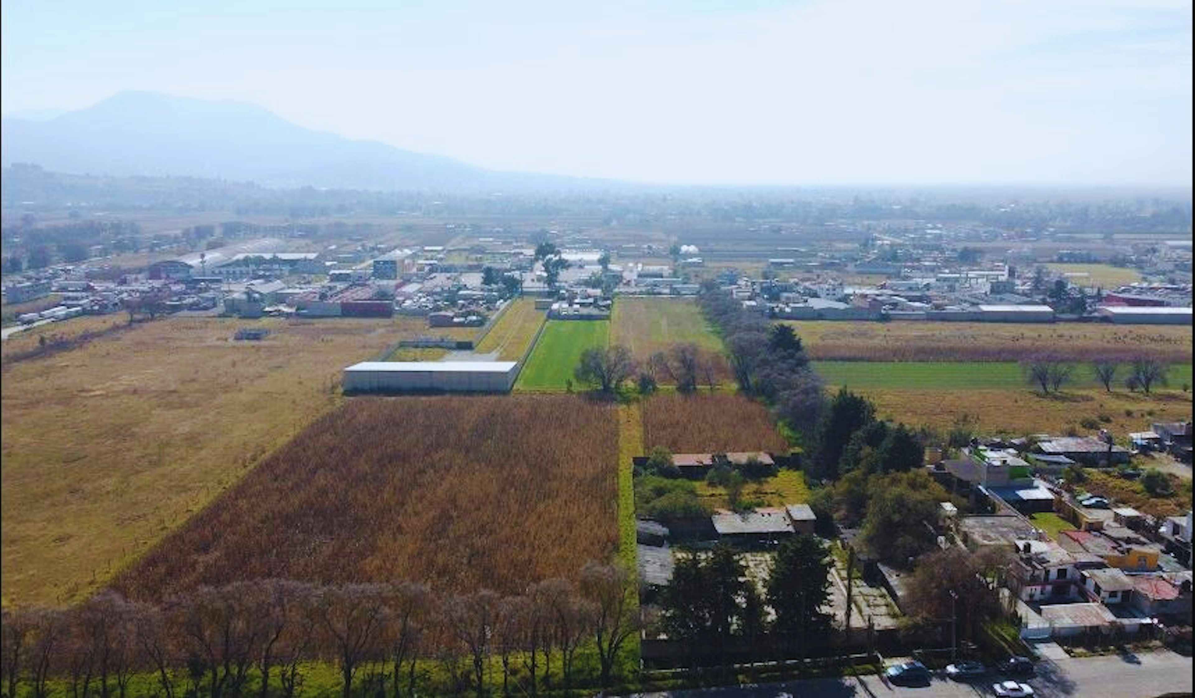 Privada Vicente Guerrero 175