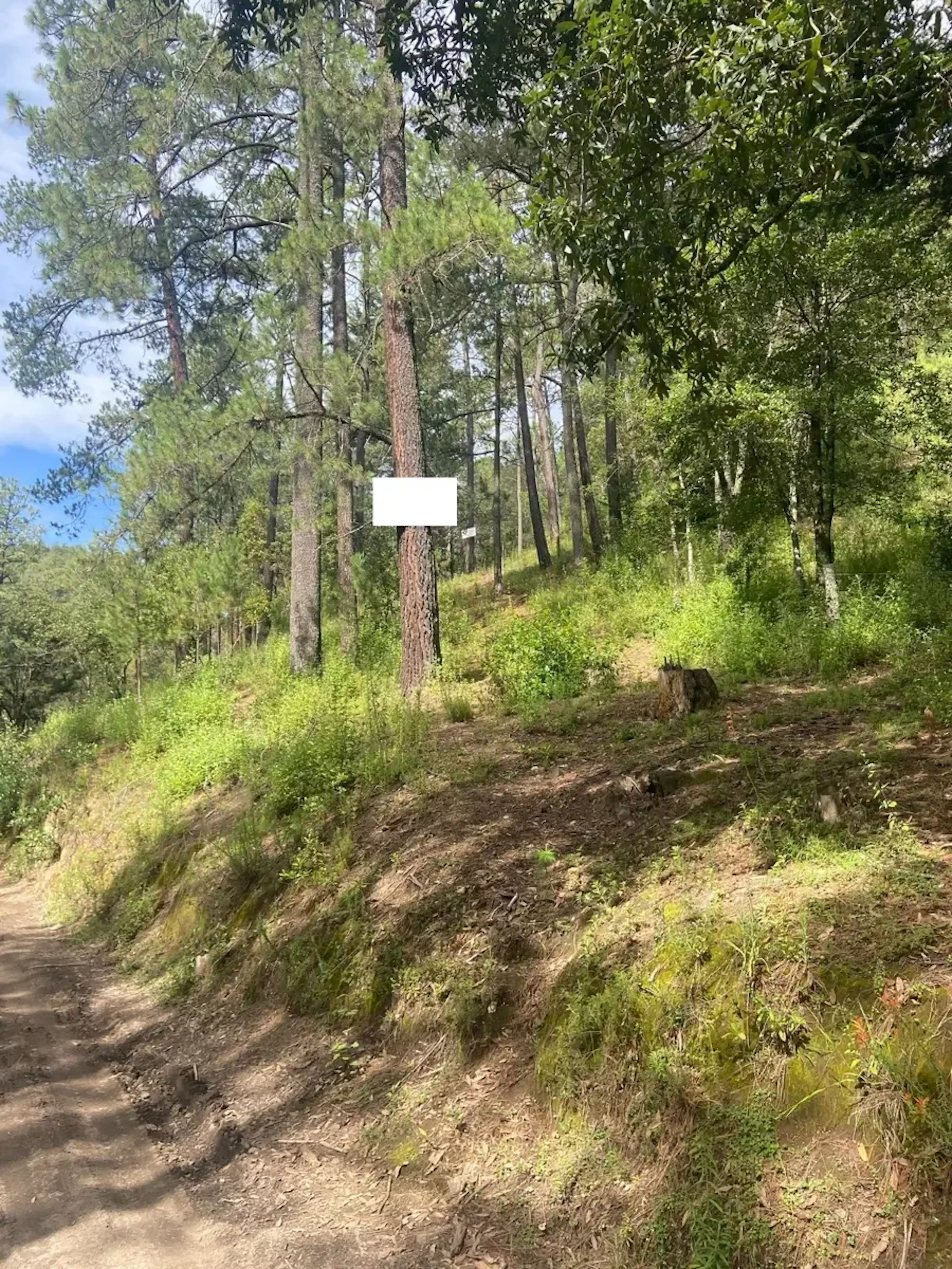 Terreno En Santa Rita Tlahuapan, Tlahuapan, Puebla