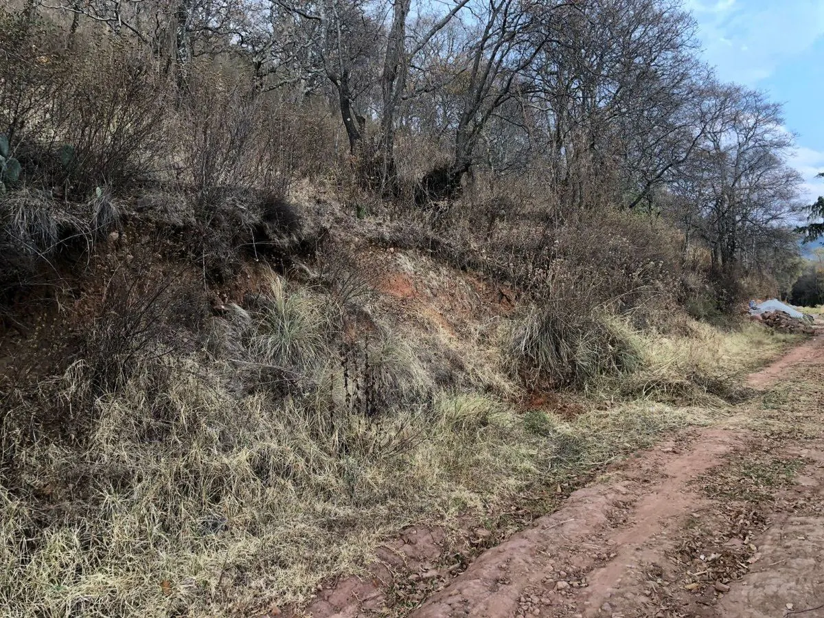 Terreno Spot2