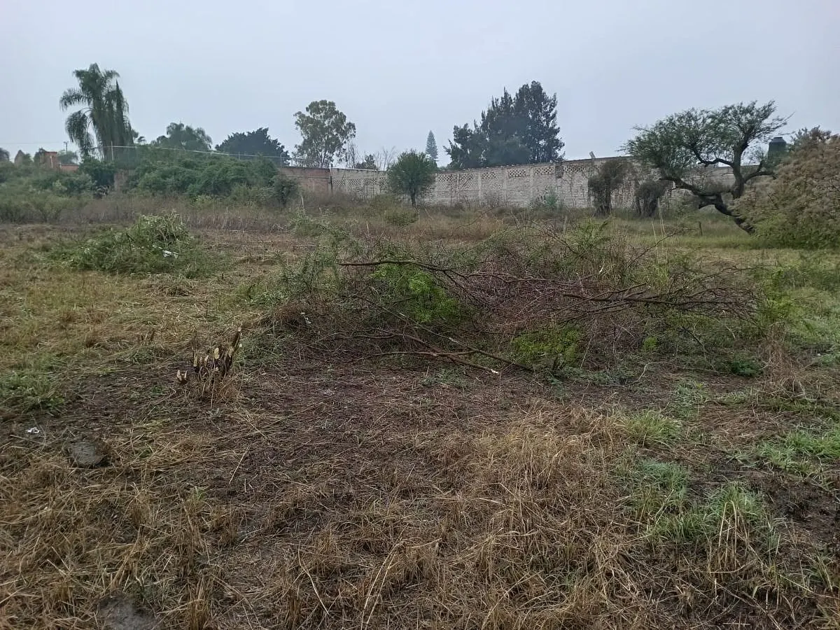 Terreno Spot2