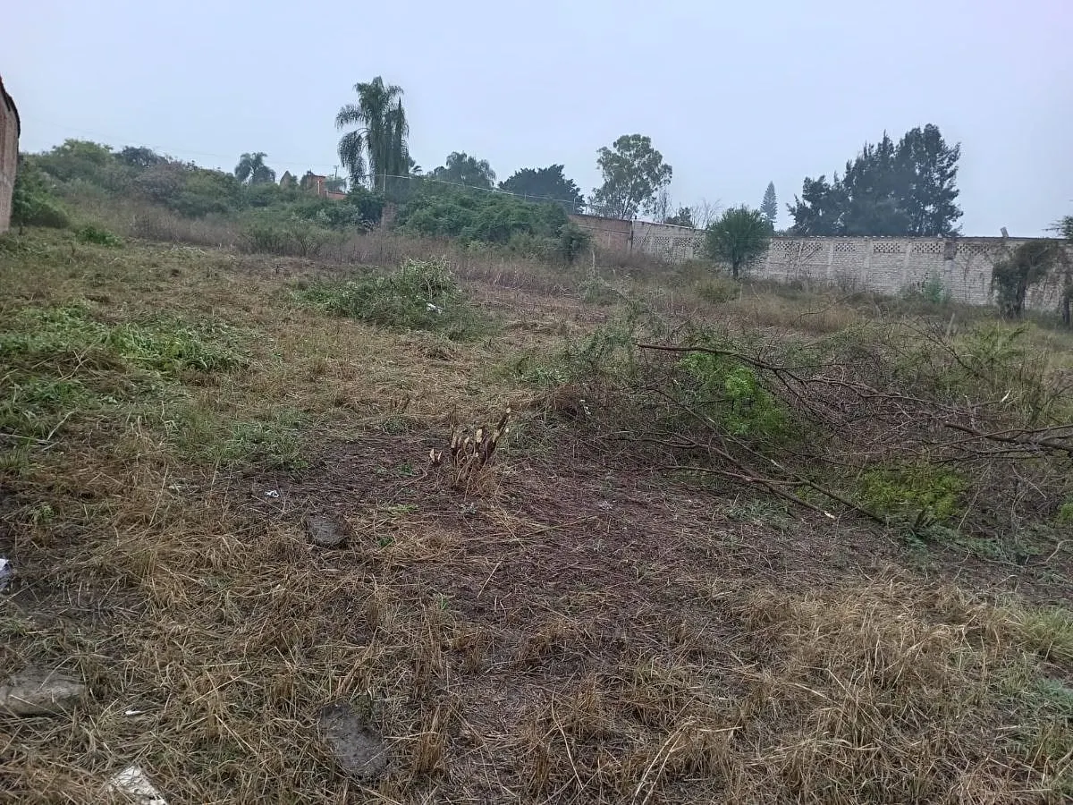 Terreno Spot2