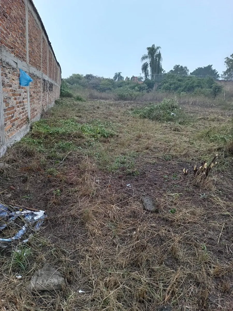Terreno Spot2