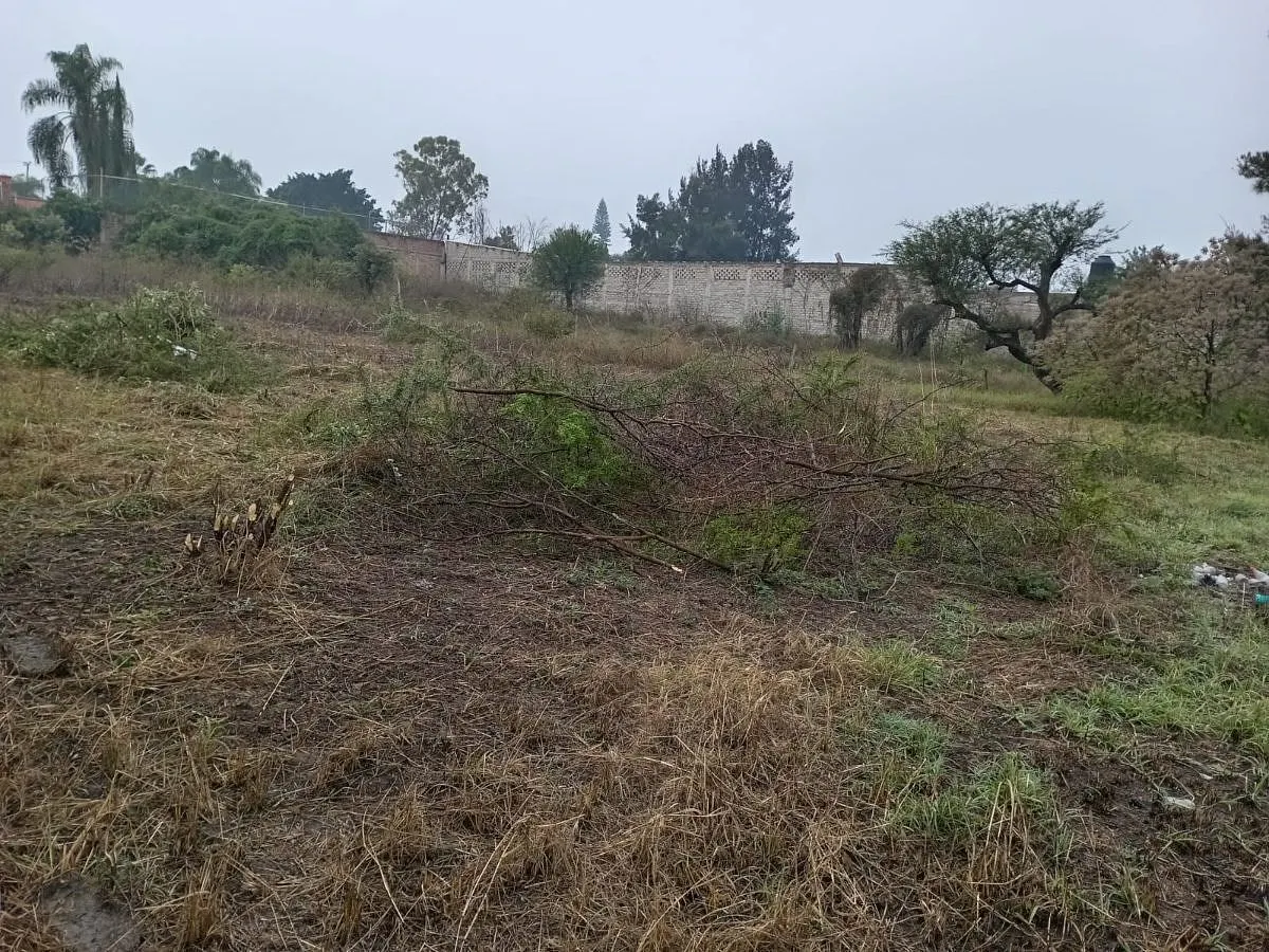 Terreno Spot2