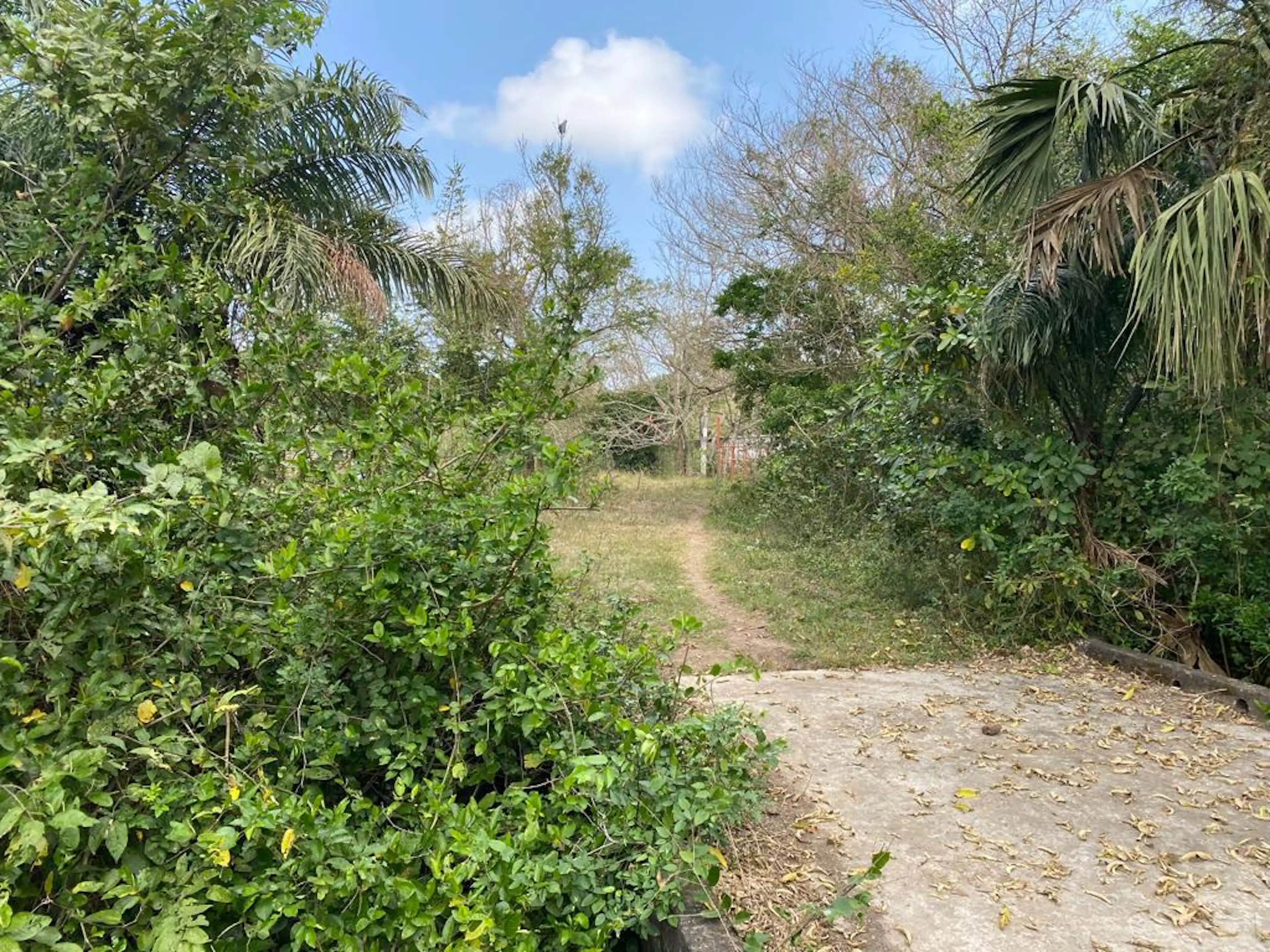 Terreno en Venta 15mil mts2 rumbo a Paso del Toro Veracruz