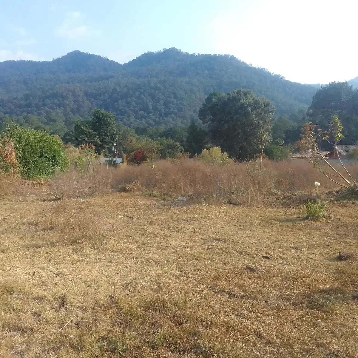 Terreno Spot2