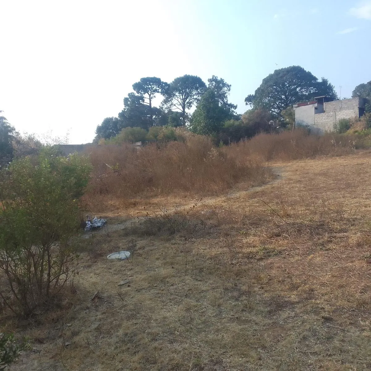 Terreno Spot2