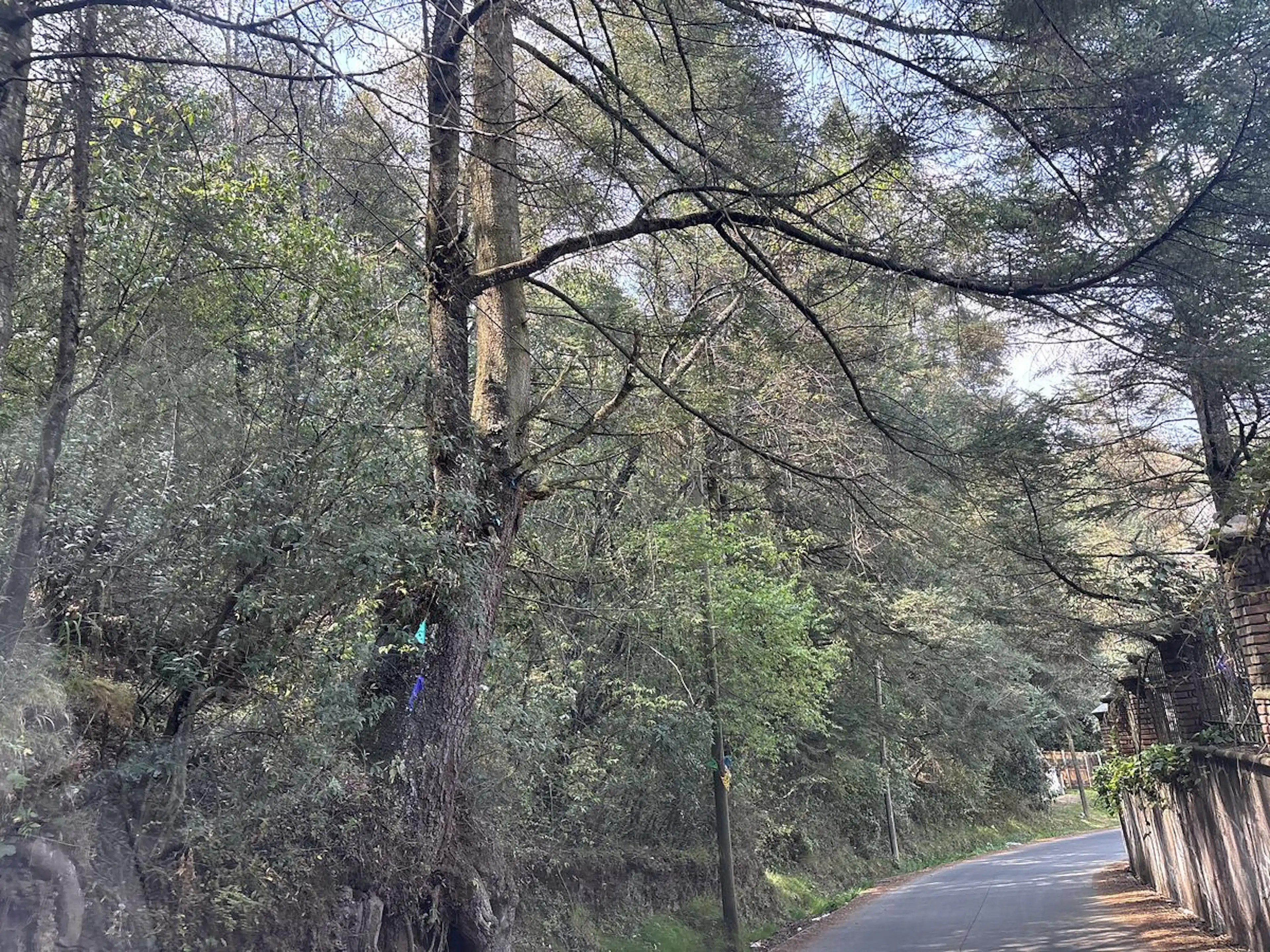 Terreno en venta Santa Ana Jilotzingo, Estado de México.