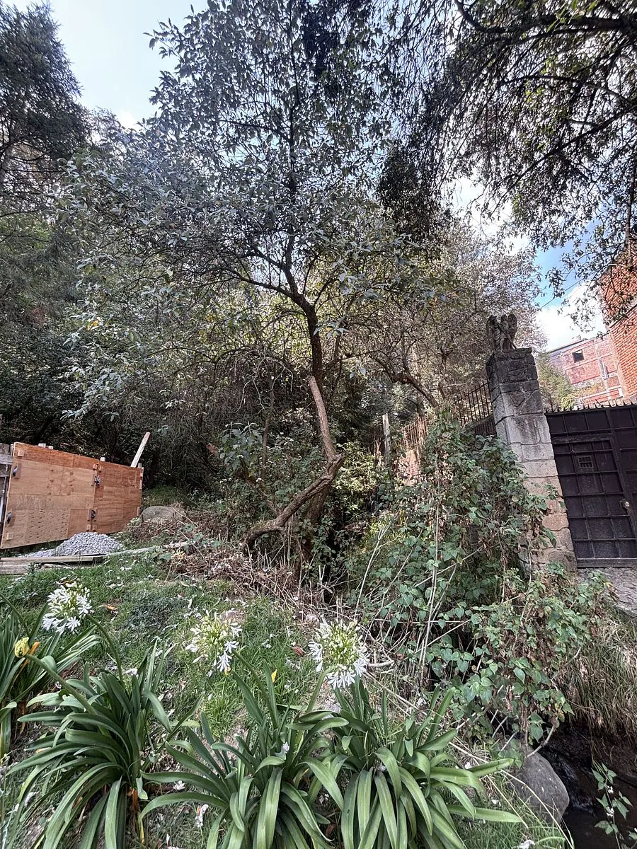 Terreno Spot2