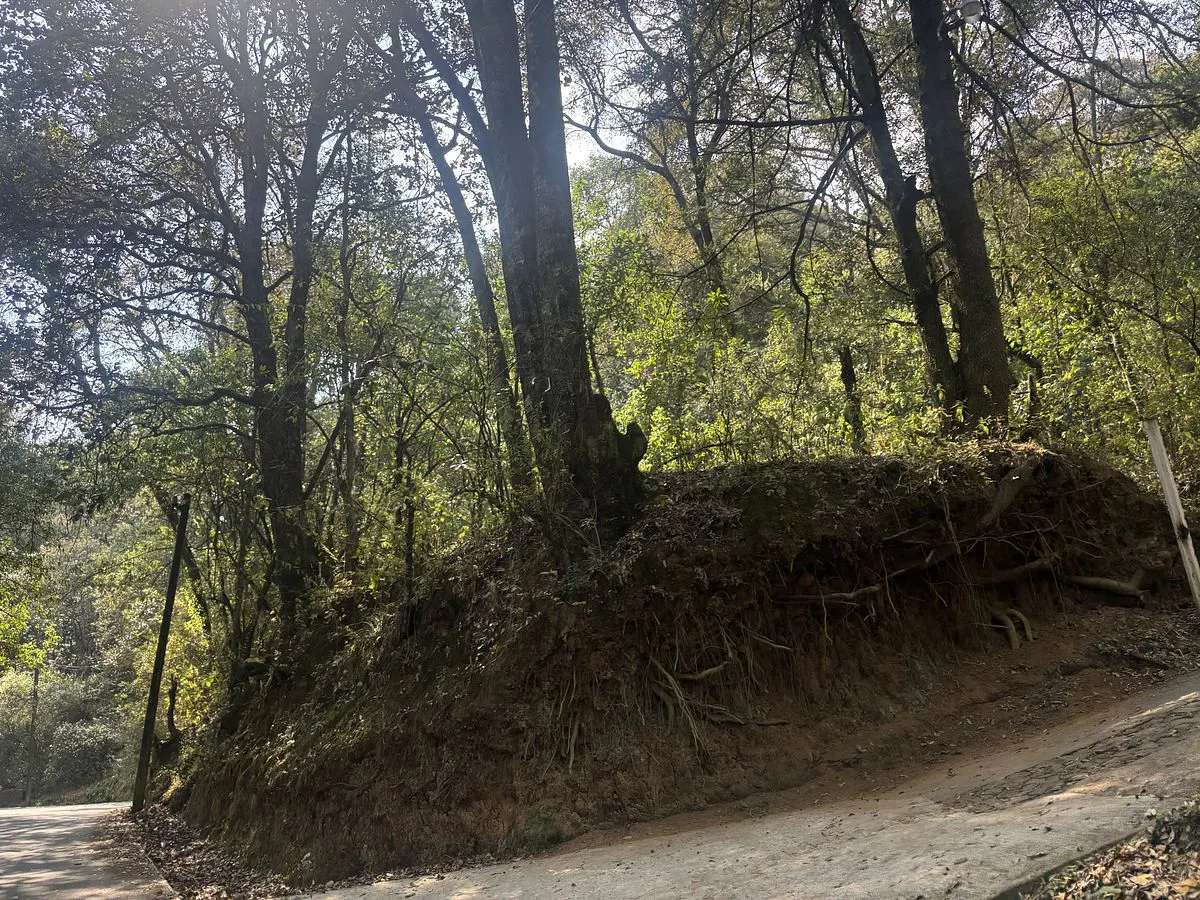 Terreno Spot2