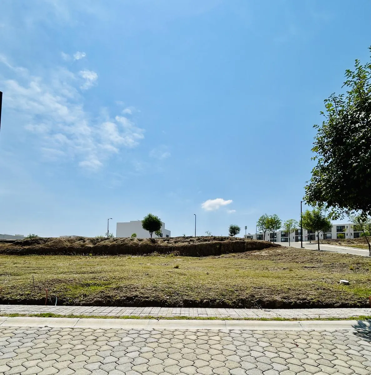 Terreno Spot2