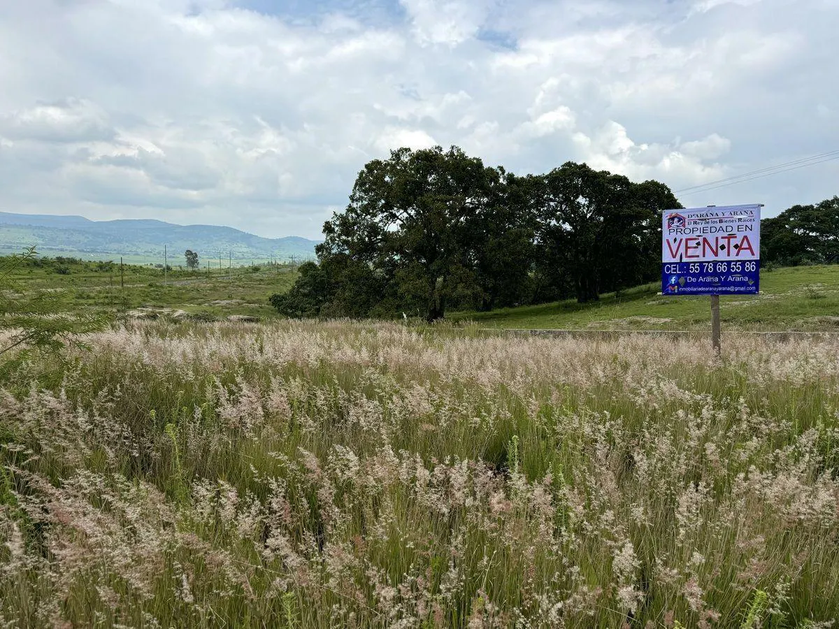 Terreno Spot2