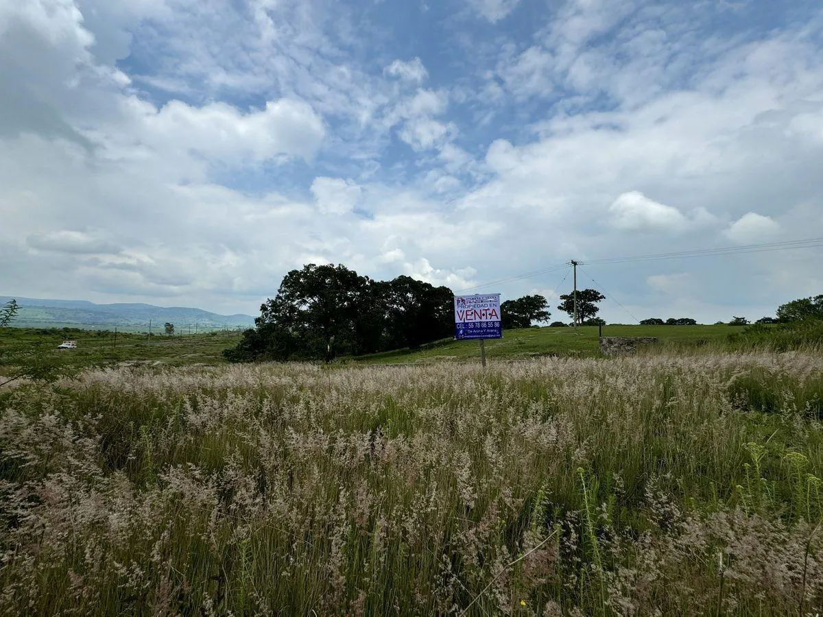 Terreno Spot2